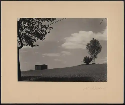 Fotografie B. Walker, Berlin-Pankow, Hiddenseestr. 11, unbekannter Ort, Landschaftsaufnahme Kornfeld mit Schuppen