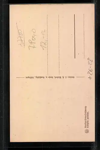 Steindruck-AK Villingen /Schwarzwald, Romäusturm mit Garten