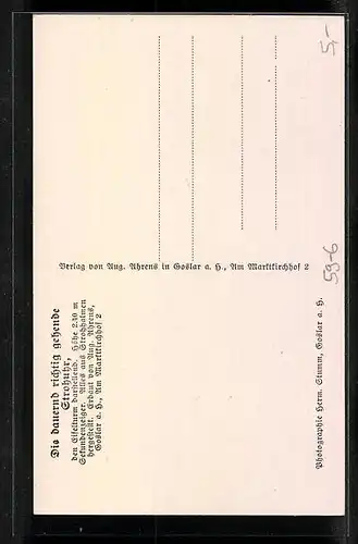 AK Eiffelturm-Kunststrohuhr in Goslar