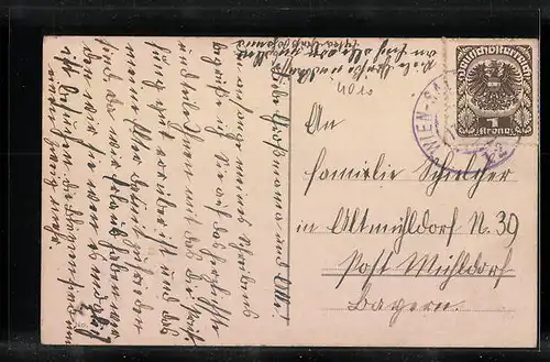 AK Linz a. D., Stadt vor Bergpanorama