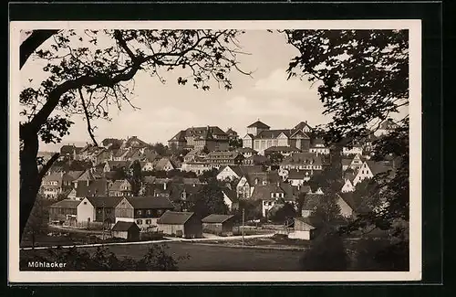 AK Mühlacker, Teilansicht mit Bäumen