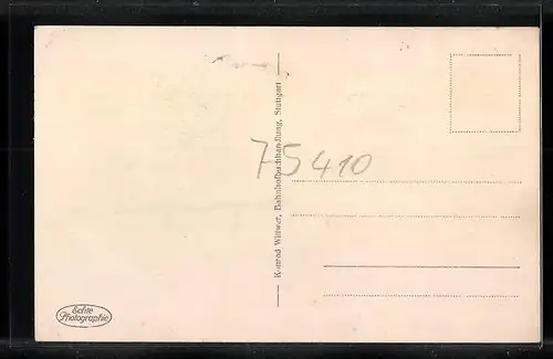 AK Mühlacker, Teilansicht mit Bäumen