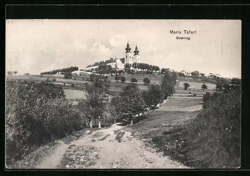 AK Maria Taferl, Bussweg gegen Kirche