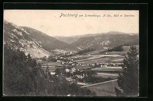 AK Puchberg am Schneeberg, Totalansicht mit Kirche