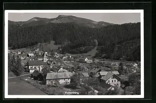 AK Hohenberg, Ortsansicht aus der Vogelschau