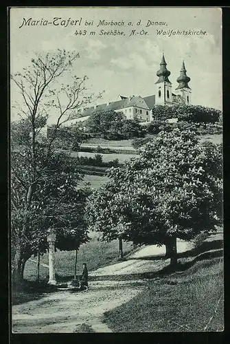 AK Maria-Taferl b. Marbach, Blick zur Wallfahrtskirche