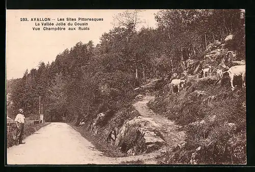 AK Avallon, Les Sites Pittoresques, La Vallée Jolie du Cousin, Vue Champétre aux Ruats