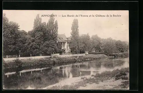 AK Appoigny, Les Bords de l'Yonne et le Chateau de la Saulaie
