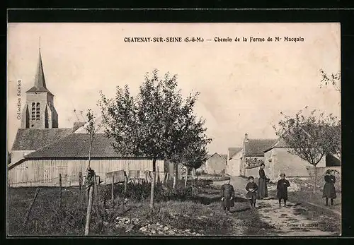 AK Chatenay-sur-Seine, Chemin de la Ferme de Mr Macquin