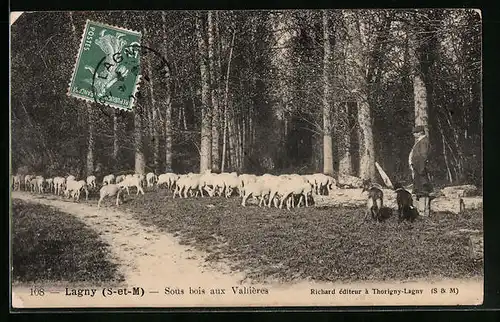 AK Lagny, Sous bois aux Valliéres