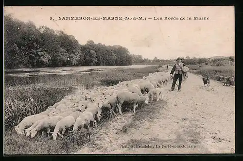 AK Sammeron-sur-Marne, Les Bords de la Marne