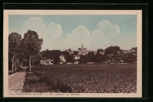 AK Chaumes-en-Brie, Vue Générale de Chaumes