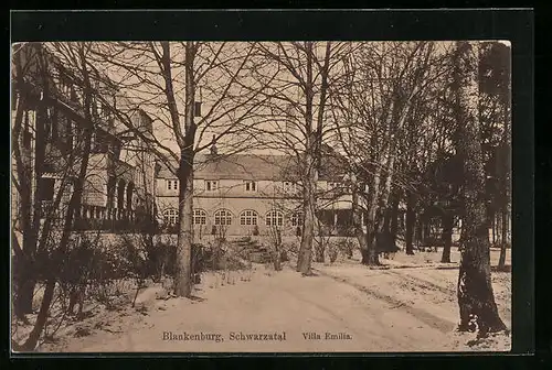 AK Blankenburg /Schwarzatal, Villa Emilia