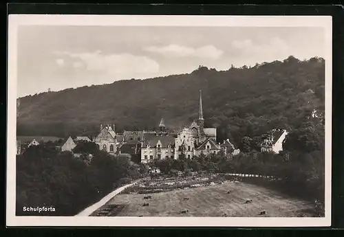 AK Naumburg /Saale, Landesschule vor dem Wald