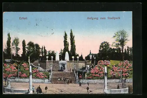 AK Erfurt, Treppenaufgang zum Stadtpark, Fontänen