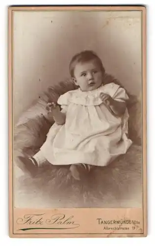 Fotografie Fritz Palm, Tangermünde a. Elbe, Albrechtstr. 19, Süsses Kleinkind im Kleid sitzt auf Fell