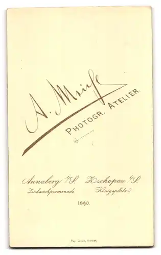 Fotografie A. Meiche, Annaberg i /S., Zickzackpromenade, Junger Herr in karierter Jacke und Fliege