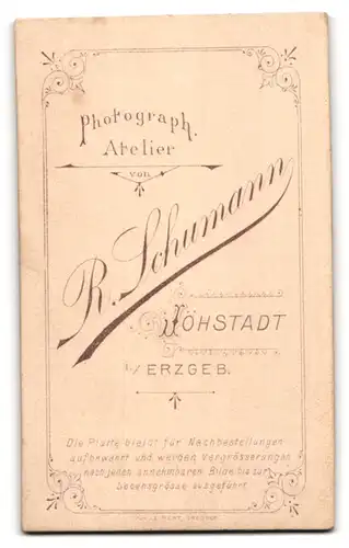 Fotografie R. Schumann, Jöhstadt i. Erzgeb., Zwei Jungen in modischer Kleidung