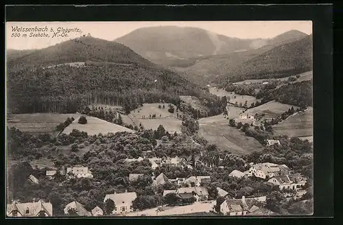 AK Weissenbach b. Gloggnitz, Ortsansicht aus der Vogelschau
