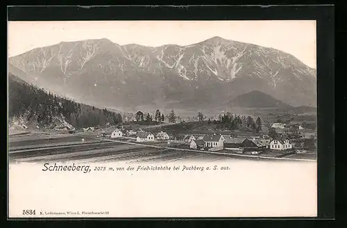 AK Puchberg, Ortsansicht mit Schneeberg