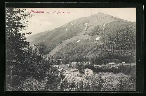 AK Prebichl, Ortsansicht mit Bahnhof gegen Polster