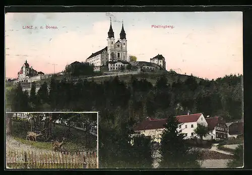 AK Linz a. d. D., Pöstlingberg mit Kirche, Hirsch und Reh