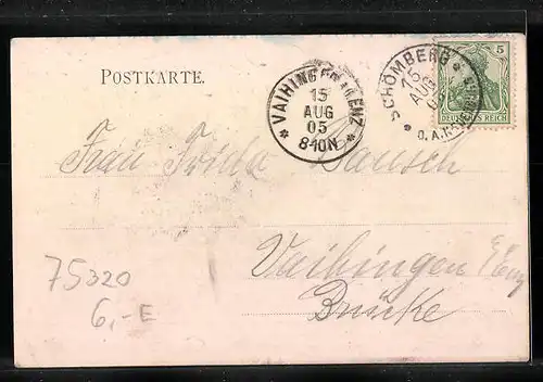 AK Schömberg, Sanatorium hinter Garten