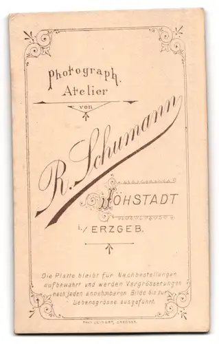 Fotografie R. Schumann, Jöhstadt /Erzgeb., Drolliges Kleinkind im zweifarbigen Kleid auf einer Holzbank stehend