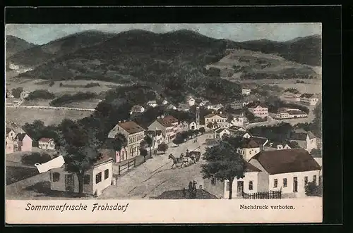 AK Frohsdorf, Ortsansicht mit Umgebung