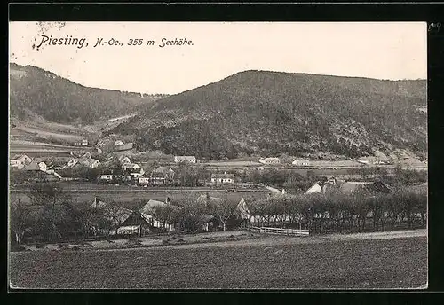 AK Piesting, Teilansicht