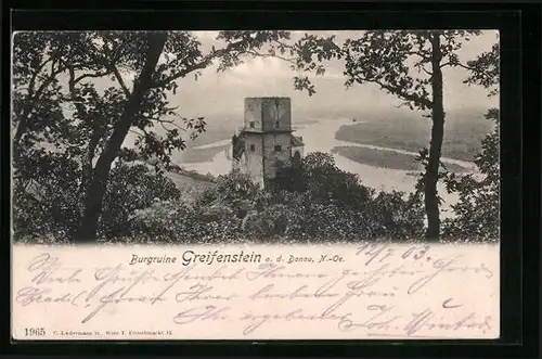 AK Greifenstein a. d. Donau, Burgruine mit Blick durch den Wald