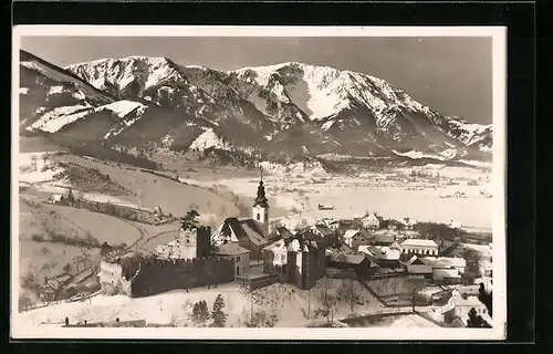 AK Puchberg am Schneeberg, Totalansicht im Winter