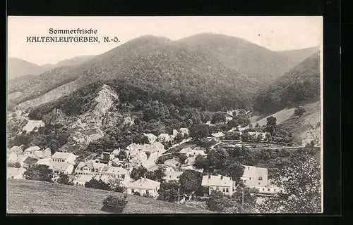 AK Kaltenleutgeben, Ortsansicht vom Berg aus