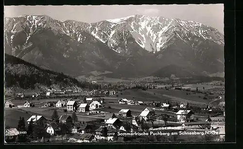 AK Puchberg, Ortsansicht mit Bergpanorama