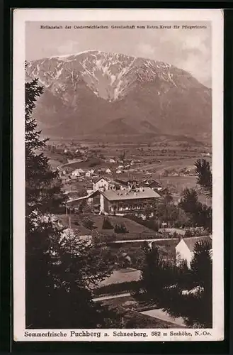 AK Puchberg, Ortsansicht am Schneeberg