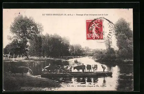 AK Briollay, Passage d'un troupeau sur le Loir