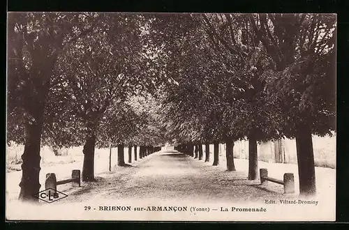 AK Brienon, La Promenade
