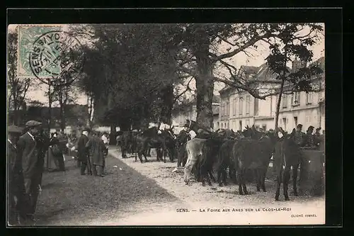 AK Sens, La Foire Aux Anes Sur Le Clos-Le-Roi