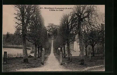 AK Montigny-Lencoup, L`Allée du Cèdre