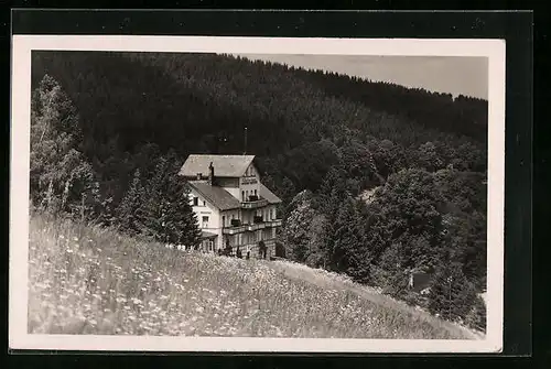 AK Bad Reinerz /Schl., Haus Fortuna hinter einer Blumenwiese