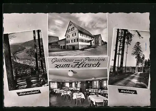 AK Dennach /Calw, Gasthaus und Pension zum Hirschen mit Waldweg