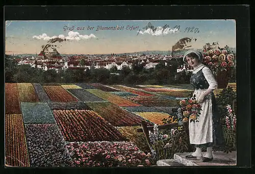 AK Erfurt, Ortsansicht mit Blumenfeldern