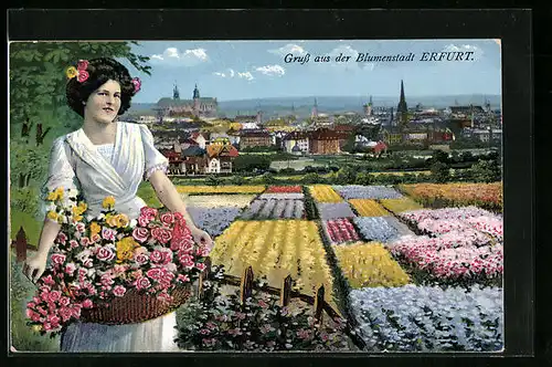 AK Erfurt, Blick über die Stadt mit Blumenfeldern