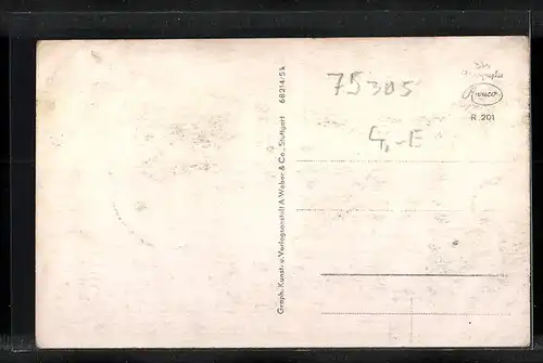 AK Neuenbürg /Enz, Ortsansicht aus der Vogelschau