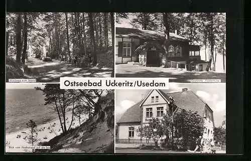 AK Ückeritz /Usedom, Gasthaus Fischerhütte, Waldweg zum Strand