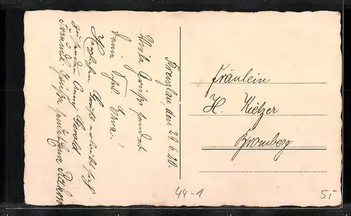 Foto-AK Damenrunde mit Welpen und Spielzeug