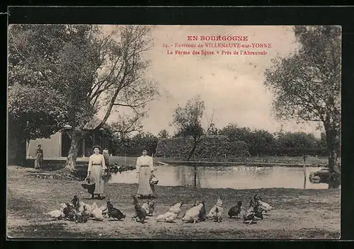 AK Villeneuve-sur-Yonne, La Ferme des Sèves
