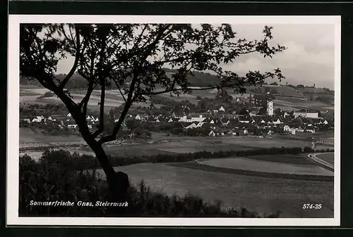AK Gnas, Blick auf die Sommerfrische