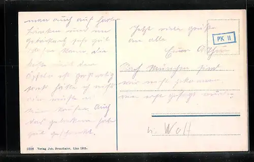 AK Linz a. d. Donau, Blick vom Pöstlingberg über die Stadt