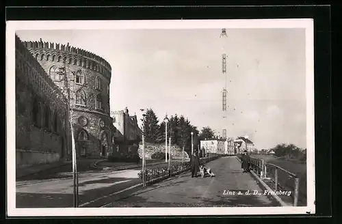 AK Linz a. d. Donau, Freinberg mit Passanten und Hund